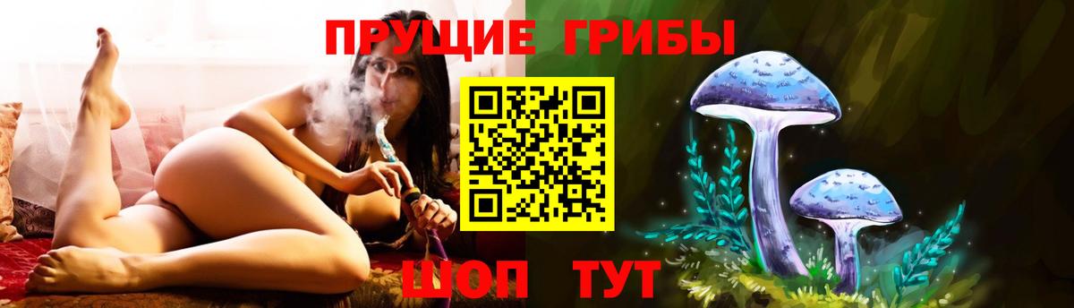 Рузаевка  Галлюциногенные грибы мухоморы  Вход с VPN 